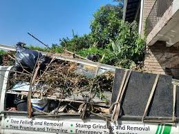 Best Hoarding Cleanup  in Highlandville, MO